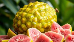What Is Monster Guava and Why Is It Popular? monster guava popularity explained