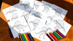 spinosaurus coloring pages collection