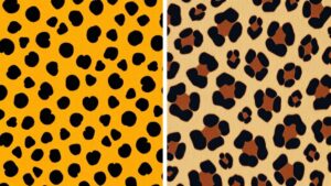 cheetah vs leopard patterns